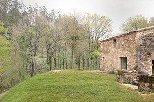 Foto des Projekts 7741