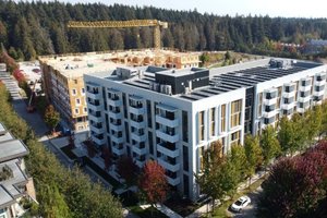 Foto des Projekts 7699